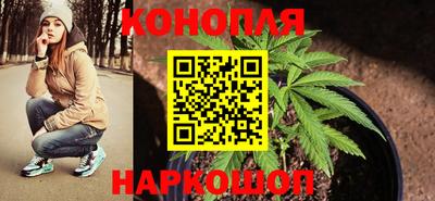 гидропоника Кунгур