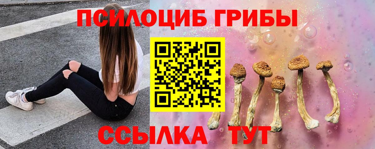Советский  Псилоцибиновые грибы GOLDEN TEACHER  Вход с VPN 